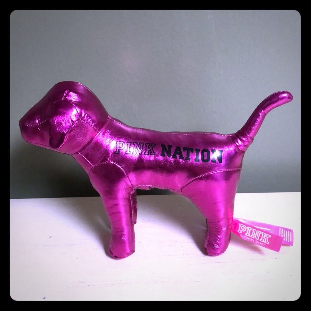 VS PINK dog